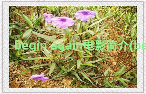 begin again电影简介(begin again影评)